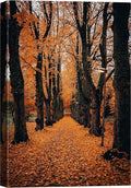 SIGNWIN Canvas Wall Art Orange Autumn Garden Path Nature Forest Photography Realism Rustic Scenic Dramatic Multicolor Cool for Living Room - 16"x24" inches