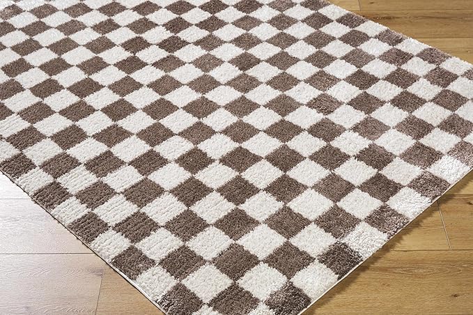 Hauteloom Canika Modern Checkered High Pile Area Rug - Contemporary Geometric Carpet for Living Room, Bedroom - Machine Washable Area Rug - Peach, Dark Brown - 2' x 2'11"