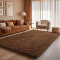Ophanie Chocolate Brown Rugs for Bedroom Living Room, Fluffy Fuzzy Furry Carpet, Plush Soft Shaggy Bedside Indoor Floor 4x6 Area Rug for Kids Girls Boys Baby Teen Dorm Nursery Home Decor Aesthetic