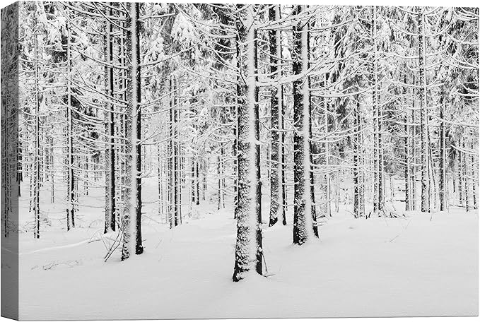 SIGNWIN Canvas Wall Art Winter Snow Covered Birch Trees on The Hillside Nature Forest Modern Art Traditional Scenic Dramatic Black and White for Living Room, Bedroom, Office - 12x18 inches