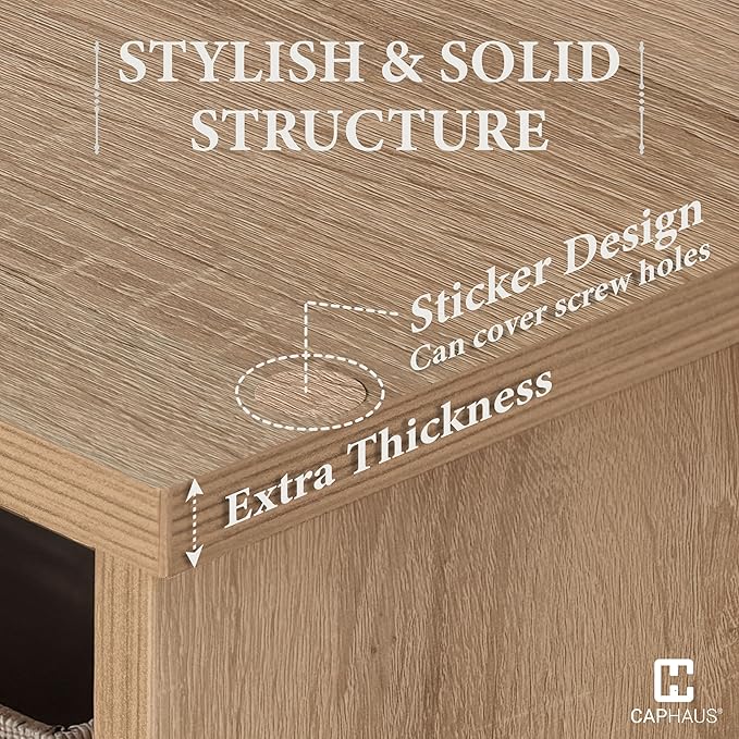 CAPHAUS 11-Inch Cube Storage Organizer Shelf, Home Storage Shelf Divider w/Back, 6-Cube Storage Bookcase, Natural Oak