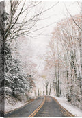 SIGNWIN Canvas Wall Art Woodland Nursery Decor Winter Trees Cool Dramatic Forest Multicolor Nature Photography Rustic - 32x48 inches