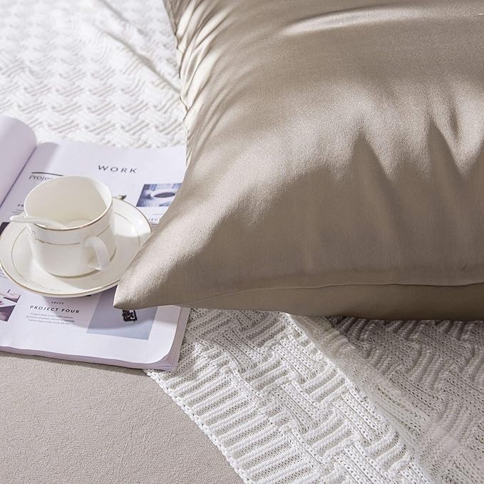 SLPBABY 100% Natural Pure Silk Pillowcase for Hair and Skin, Both Side 19 Momme Silk, Luxury Smooth Satin Pillowcase Cover with Hidden Zipper (Queen, Taupe)
