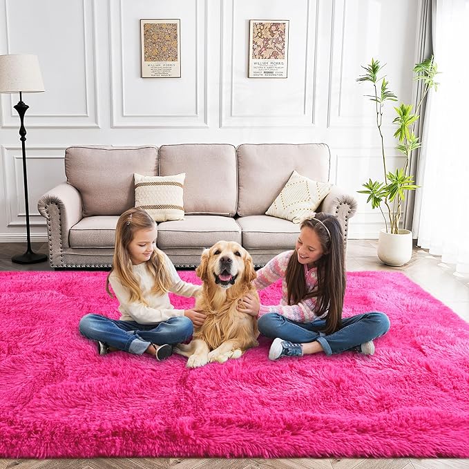 Fluffy Rug Non Slip 5x7 Feet, Hot Pink Living Room Rug Modern, Super Soft Shag Plush Large Carpets for Bedroom