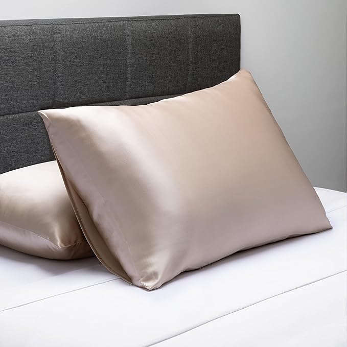 Fishers Finery 25mm 100% Pure Mulberry Silk Pillowcase Set (Taupe Standard 2 Pack)