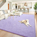 Chicrug 5x7 Minimalist Washable Area Rugs for Bedroom Living Room Classroom, Modern Soft Memory Foam Rug for Kids Nursery, Low Plie Indoor Carpet for Dorm Dining Office Bedside Room Decor, Purple