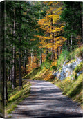 SIGNWIN Canvas Wall Art Green Forest Path Nature Forest Photography Realism Rustic Scenic Dramatic Multicolor Cool for Living Room - 16"x24" inches