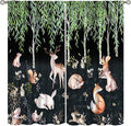 Forest Animal Curtains, Watercolor Cartoon Woodland Plants Animals Bears Moose Mushrooms Printed Curtains for Kids Boys and Girls Bedroom Window Drapes 55x63in
