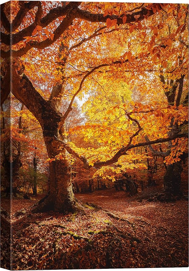 SIGNWIN Canvas Print Wall Art Autumn Red Leaf Oak Tree Forest Nature Wilderness Photography Modern Art Farmhouse/Country Landscape Colorful Multicolor Ultra for Living Room, Bedroom, Office - 16x24