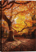 SIGNWIN Canvas Print Wall Art Autumn Red Leaf Oak Tree Forest Nature Wilderness Photography Modern Art Farmhouse/Country Landscape Colorful Multicolor Ultra for Living Room, Bedroom, Office - 24x36