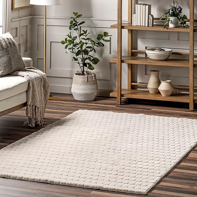 nuLOOM Nia Beige, 5' x 8', Cozy Shag, Fluffy and Soft, High Traffic, Stain Resistant, Easy Clean, Durable Machine Washable Area Rug for Bedroom, Living Room, Dining, Den, Foyer, Entryway