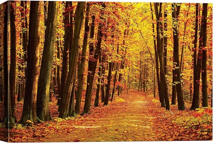 SIGNWIN Canvas Print Wall Art Walk Through Red Yellow Leaf Autumn Forest Nature Wilderness Photography Modern Art Rustic Landscape Relax/Calm Multicolor for Living Room, Bedroom, Office - 12x18