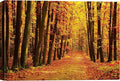 SIGNWIN Canvas Print Wall Art Walk Through Red Yellow Leaf Autumn Forest Nature Wilderness Photography Modern Art Rustic Landscape Relax/Calm Multicolor for Living Room, Bedroom, Office - 32x48