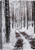 SIGNWIN Canvas Wall Art Winter Trees Cool Dramatic Forest Multicolor Nature Photography Rustic - 16x24 inches