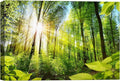 SIGNWIN-Canvas Wall Art-Sunshine in The Forest -Canvas Prints Home Artwork Decoration for Living Room,Bedroom - 12x18 inches