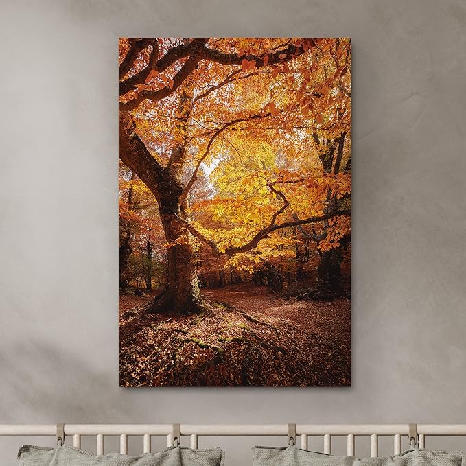 SIGNWIN Canvas Print Wall Art Autumn Red Leaf Oak Tree Forest Nature Wilderness Photography Modern Art Farmhouse/Country Landscape Colorful Multicolor Ultra for Living Room, Bedroom, Office - 16x24