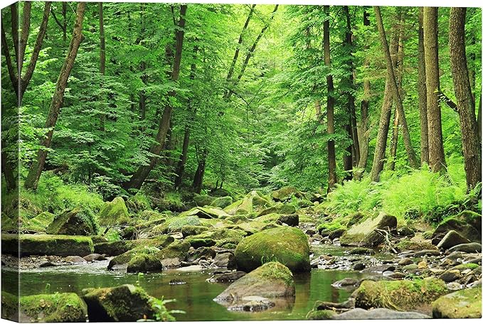 SIGNWIN-Canvas Wall Art-Sunshine in The Forest -Canvas Prints Home Artwork Decoration for Living Room,Bedroom - 24x36 inches