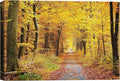 SIGNWIN Canvas Wall Art Sunshine in The Forest Canvas Prints Home Artwork Decoration for Living Room,Bedroom - 16x24 inches
